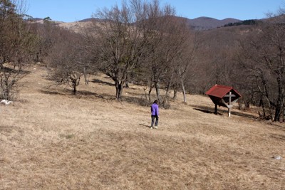 (Slovenščina) AKTUALNO